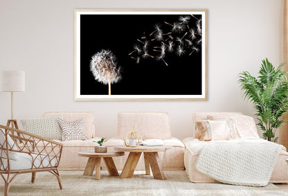 Dandelion On Black Background Home Decor Premium Quality Poster Print Choose Your Sizes