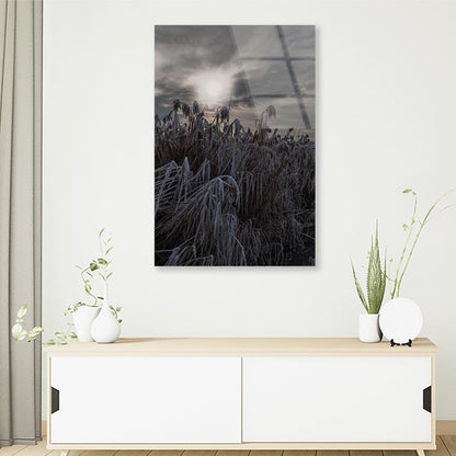 Landscape Winter Wonderland Portrait Photograph Acrylic Glass Print Tempered Glass Wall Art 100% Made in Australia Ready to Hang