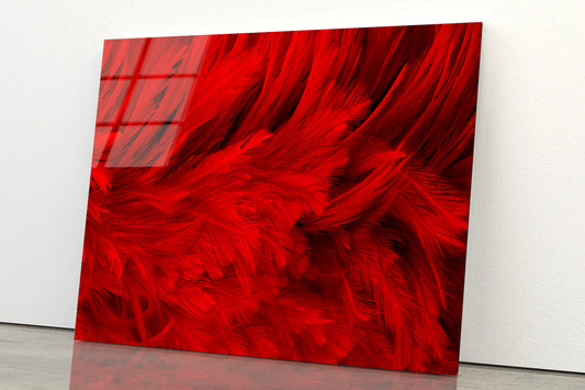 Dark Red Feathers in Close-Up Acrylic Glass Print Tempered Glass Wall Art 100% Made in Australia Ready to Hang