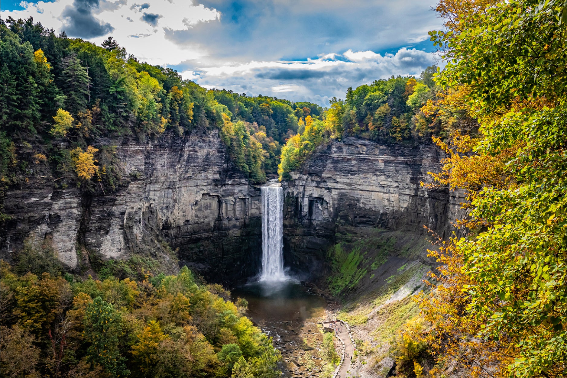 Autumn Forest With Finger Lakes Glass Framed Wall Art, Ready to Hang Quality Print