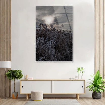 Landscape Winter Wonderland Portrait Photograph Acrylic Glass Print Tempered Glass Wall Art 100% Made in Australia Ready to Hang