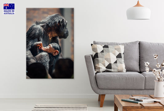 Chimpanzee Mother and Baby Taronga Zoo Sydney Wall Art Decor 100% Australian Made