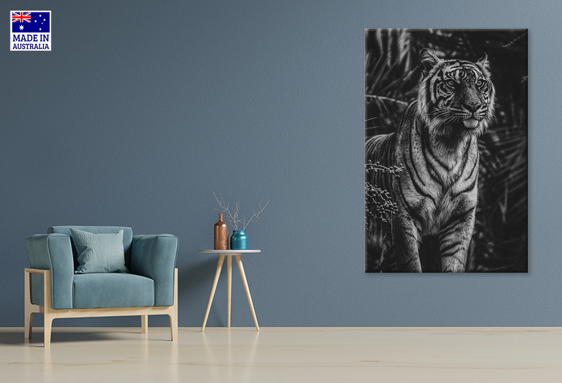 Black And White Tiger in Dark Forest Wall Art Decor 100% Australian Made