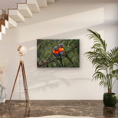 Rainbow Lorikeet Northern Queensland Wall Art Decor 100% Australian Made