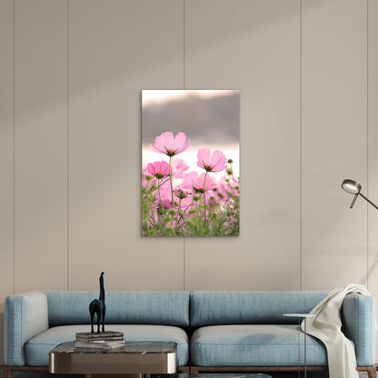 Field of Pink Cosmos Flowers 60x90cm Metal Print Ready to Hang