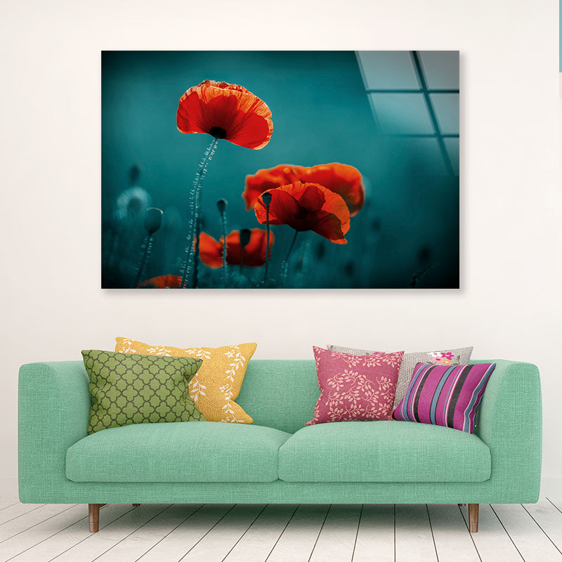 Amazing Poppy Field Acrylic Glass Print Tempered Glass Wall Art 100% Made in Australia Ready to Hang