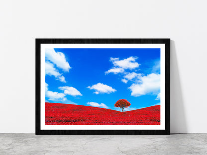 Red Leaves With Tree & Blue Sky Glass Framed Wall Art, Ready to Hang Quality Print With White Border Black