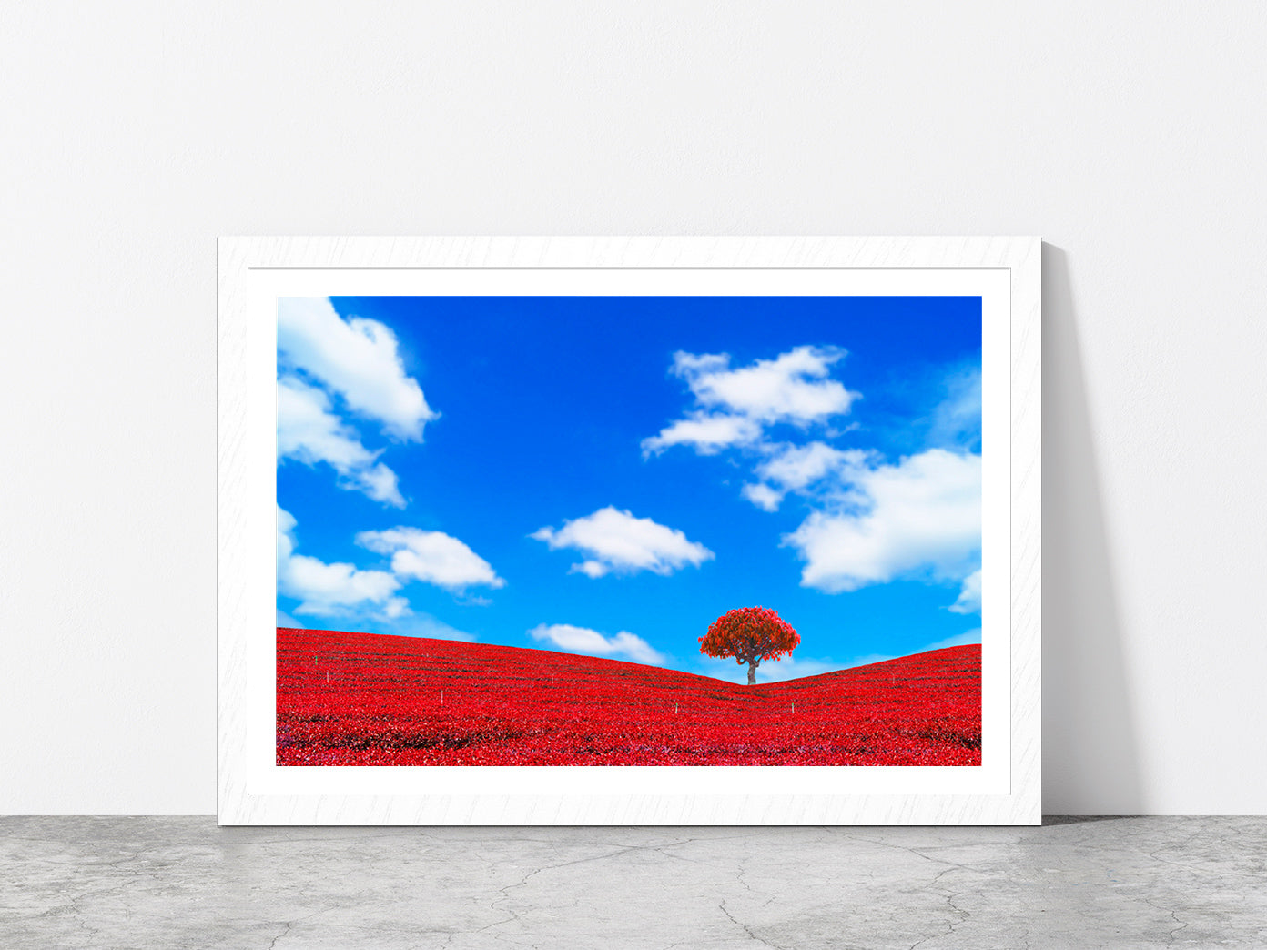 Red Leaves With Tree & Blue Sky Glass Framed Wall Art, Ready to Hang Quality Print With White Border White