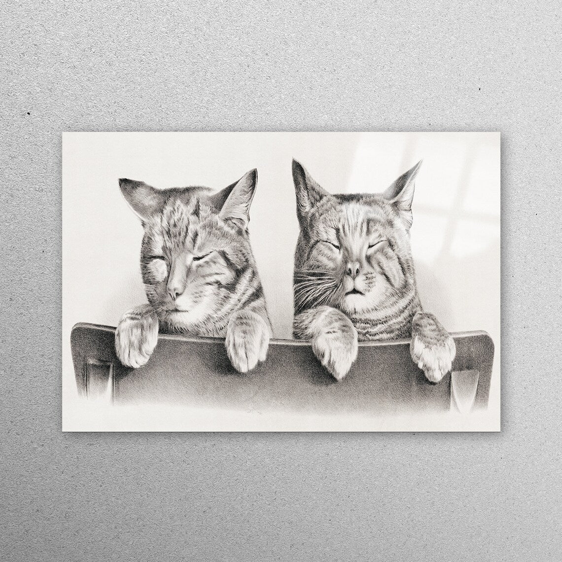 Cat Lovely Animals Acrylic Glass Print Tempered Glass Wall Art 100% Made in Australia Ready to Hang