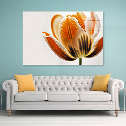 Tulips in Close-Up View Acrylic Glass Print Tempered Glass Wall Art 100% Made in Australia Ready to Hang