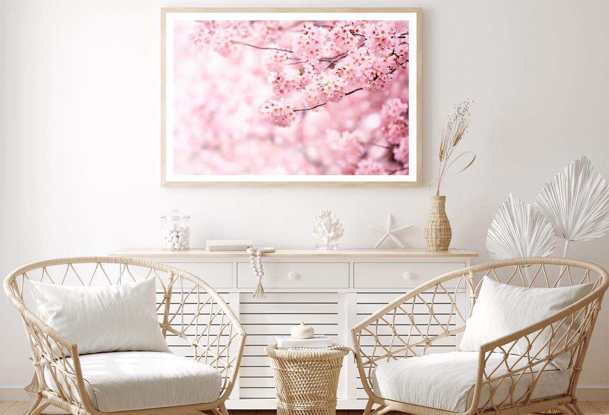 Cherry Blossom In Full BloomHome Decor Premium Quality Poster Print Choose Your Sizes