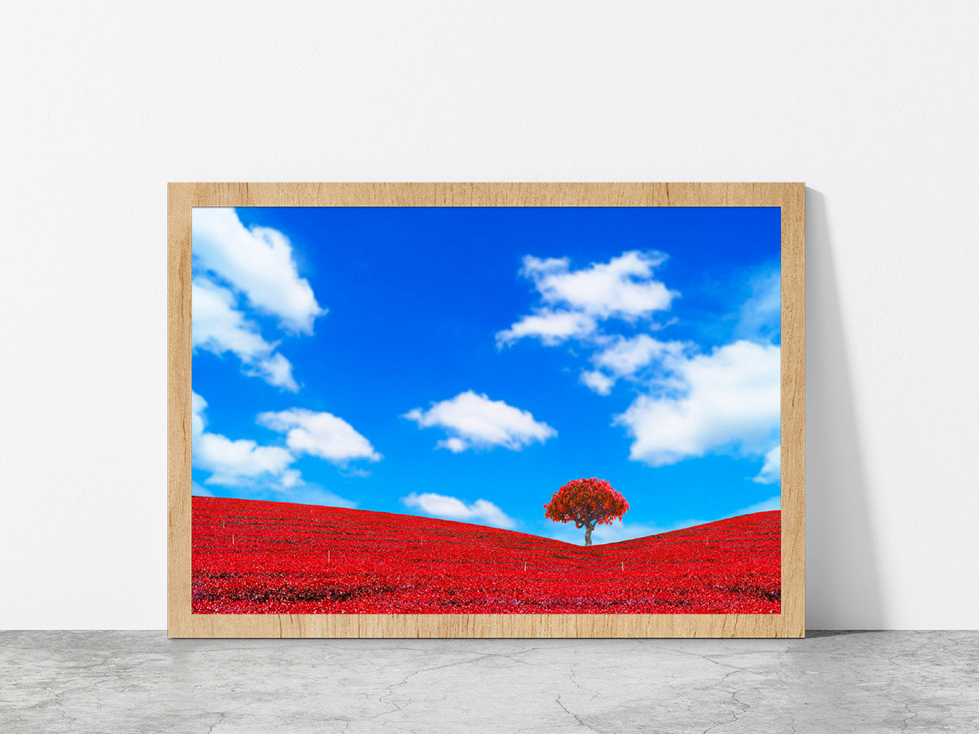 Red Leaves With Tree & Blue Sky Glass Framed Wall Art, Ready to Hang Quality Print Without White Border Oak