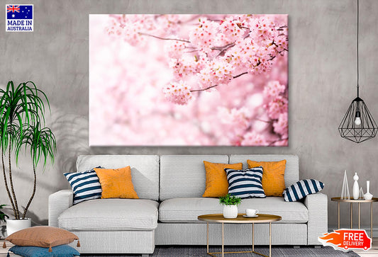 Cherry Blossom In Full Bloom Wall Art Decor 100% Australian Made