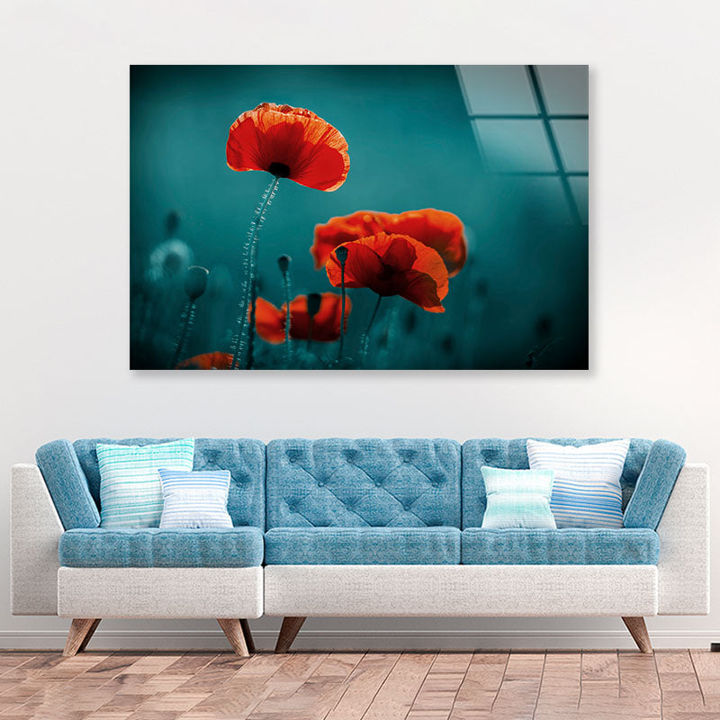 Amazing Poppy Field Acrylic Glass Print Tempered Glass Wall Art 100% Made in Australia Ready to Hang