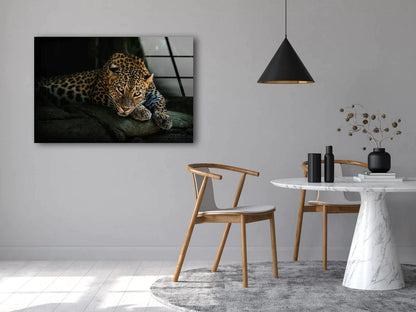 Leopard Dark Closeup UV Direct Aluminum Print Australian Made Quality