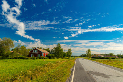 A Rural Road with Grass and Trees under a Cloudy Sky Home Decor Premium Quality Poster Print Choose Your Sizes