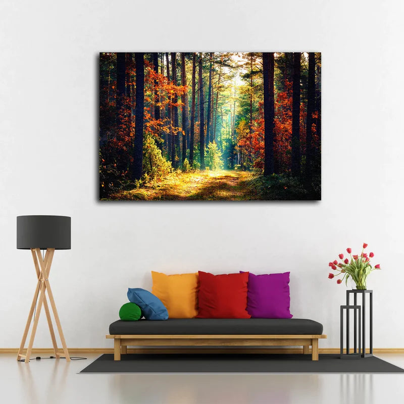 Sunrays in Autumn UV Direct Aluminum Print Australian Made Quality