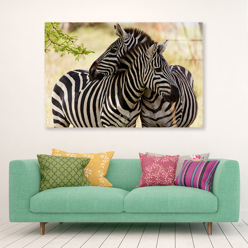 Pair of Zebra Standing Near Tree Acrylic Glass Print Tempered Glass Wall Art 100% Made in Australia Ready to Hang