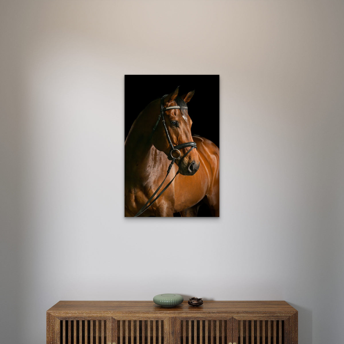 Brown Thoroughbred Horse Head 60x90cm Metal Print Ready to Hang