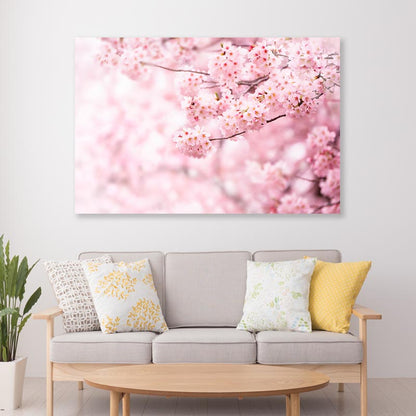 Cherry Blossom In Full Bloom Acrylic Glass Print Tempered Glass Wall Art 100% Made in Australia Ready to Hang