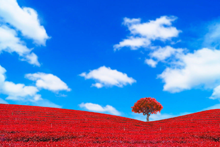 Red Leaves With Tree & Blue Sky Glass Framed Wall Art, Ready to Hang Quality Print