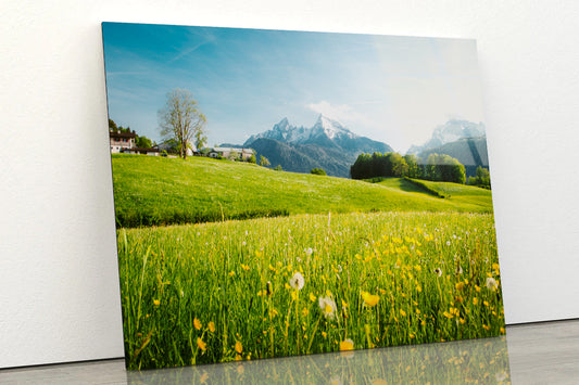 Blooming Meadows with Mountains in springtime Acrylic Glass Print Tempered Glass Wall Art 100% Made in Australia Ready to Hang