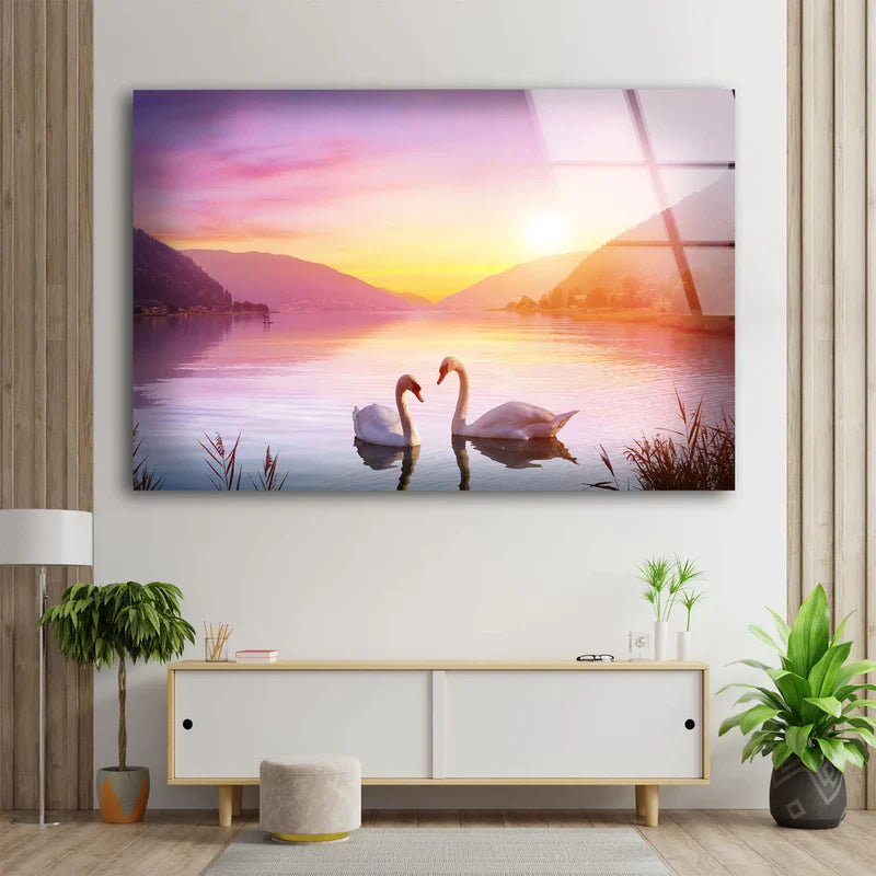 Swans on Lake Sunset UV Direct Aluminum Print Australian Made Quality