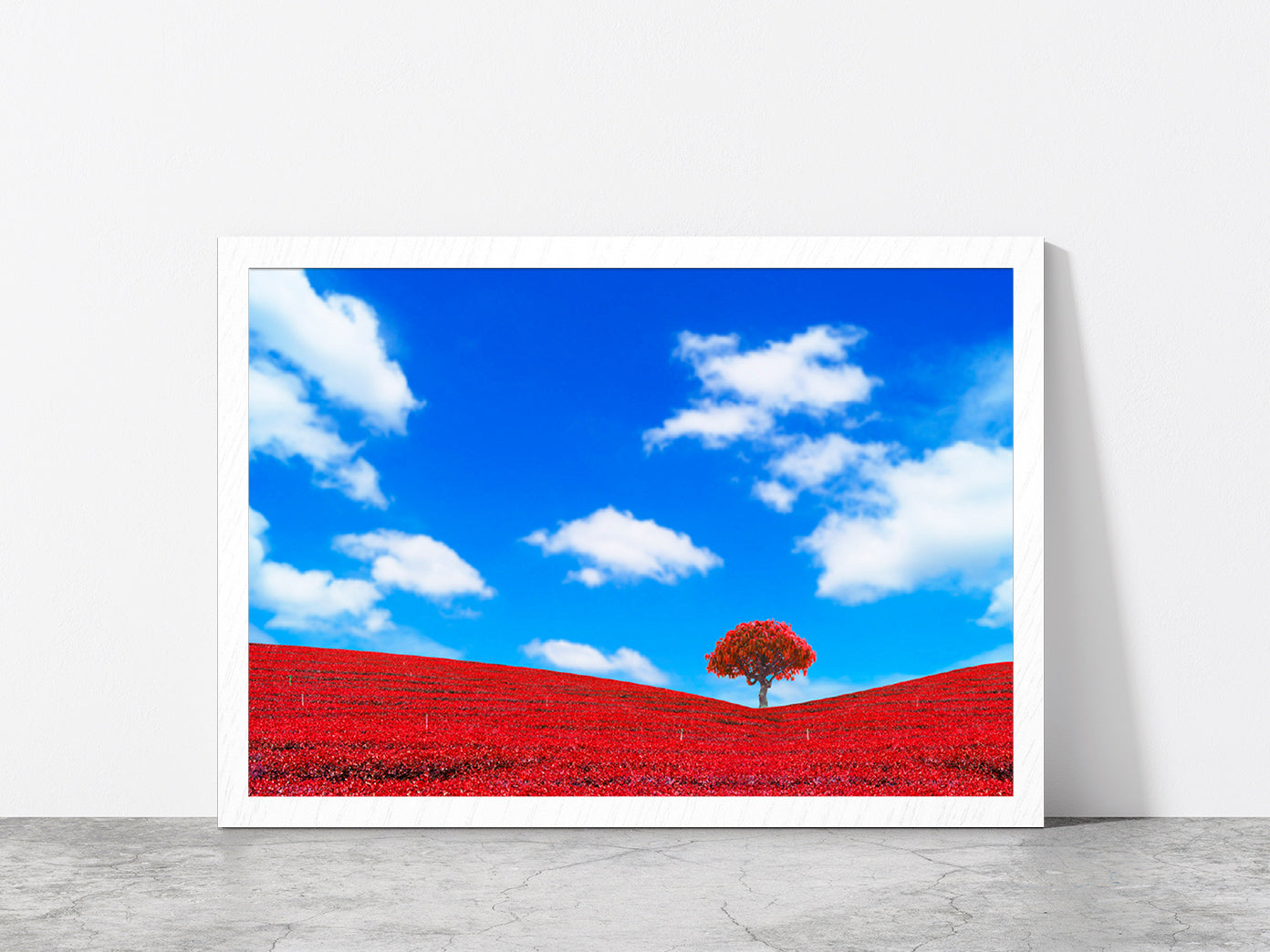 Red Leaves With Tree & Blue Sky Glass Framed Wall Art, Ready to Hang Quality Print Without White Border White