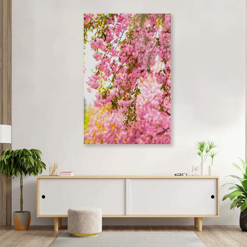 Lush Blossom of Sakura Acrylic Glass Print Tempered Glass Wall Art 100% Made in Australia Ready to Hang