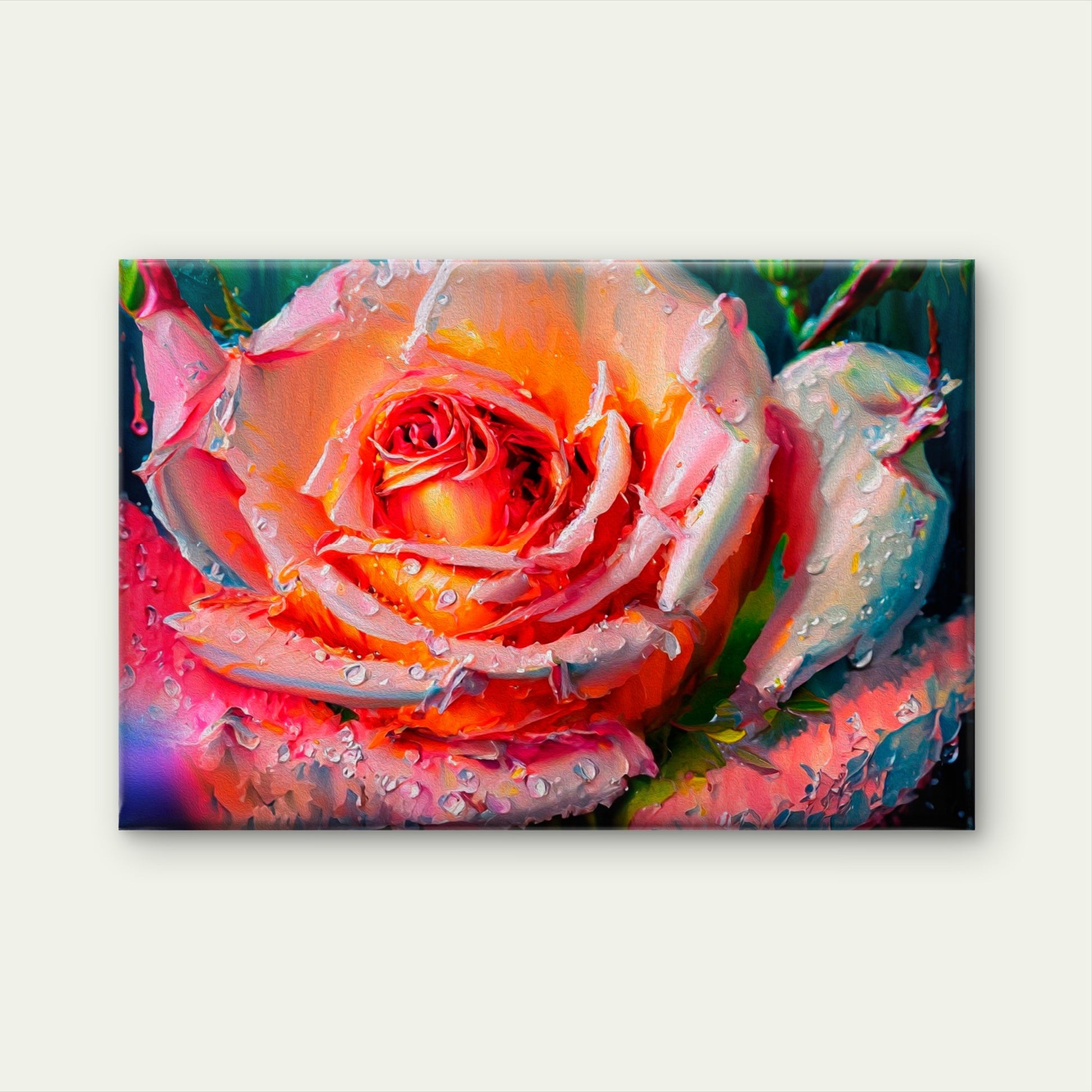 Dewy Pink Rose Oil Bloom Painting Wall Art Decor 100% Australian Made - Bella Home Decor