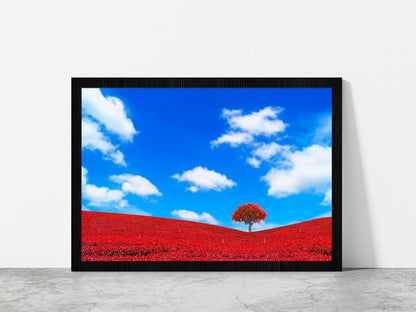 Red Leaves With Tree & Blue Sky Glass Framed Wall Art, Ready to Hang Quality Print Without White Border Black