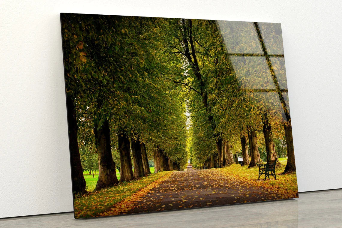 Garden Trees Pathway UV Direct Aluminum Print Australian Made Quality