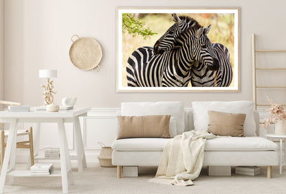 Pair of Zebra Standing Near Tree Home Decor Premium Quality Poster Print Choose Your Sizes