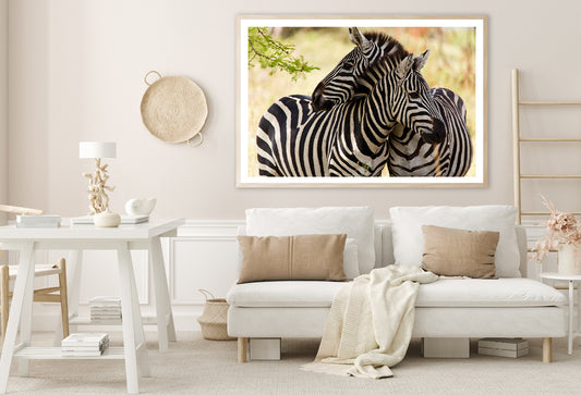 Pair of Zebra Standing Near Tree Home Decor Premium Quality Poster Print Choose Your Sizes