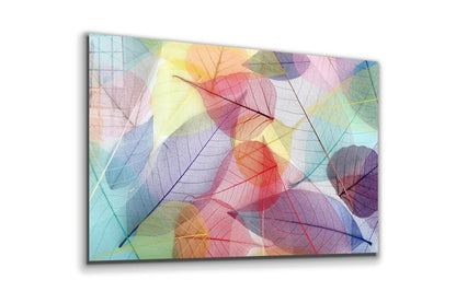 Abstract X-Ray Leaves UV Direct Aluminum Print Australian Made Quality