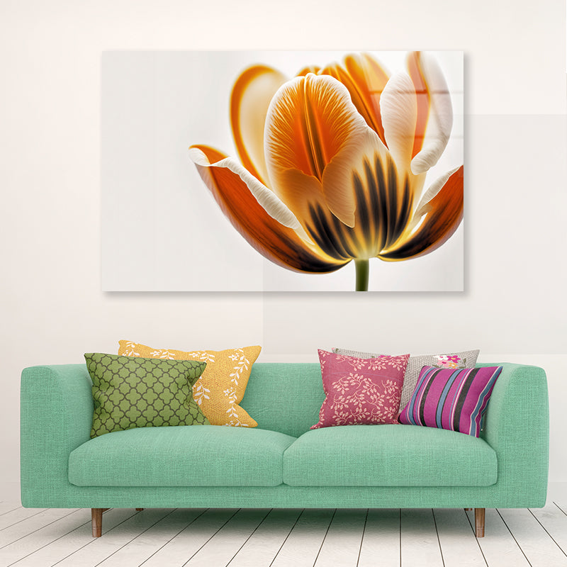 Tulips in Close-Up View Acrylic Glass Print Tempered Glass Wall Art 100% Made in Australia Ready to Hang