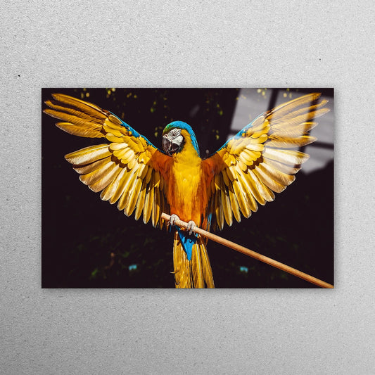 Yellow Parrot Wall Art Acrylic Glass Print Tempered Glass Wall Art 100% Made in Australia Ready to Hang