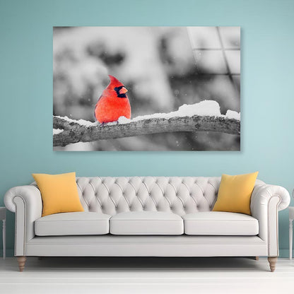 B&W Red Bird Winter View Acrylic Glass Print Tempered Glass Wall Art 100% Made in Australia Ready to Hang