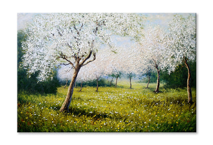 Spring Blossom Tree on Green Grass Field Painting Wall Art Limited Edition High Quality Print Stretched Canvas None