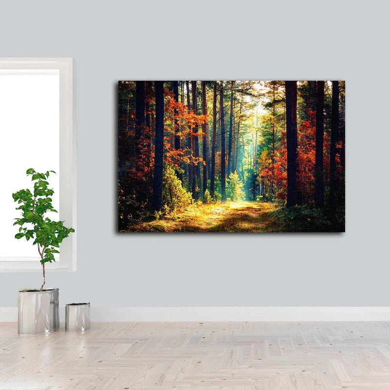 Sunrays in Autumn UV Direct Aluminum Print Australian Made Quality