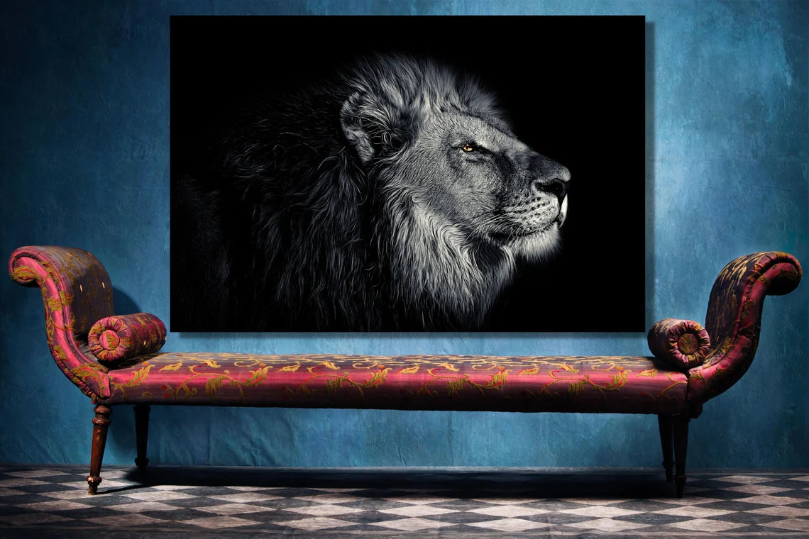 African Lion UV Direct Aluminum Print Australian Made Quality