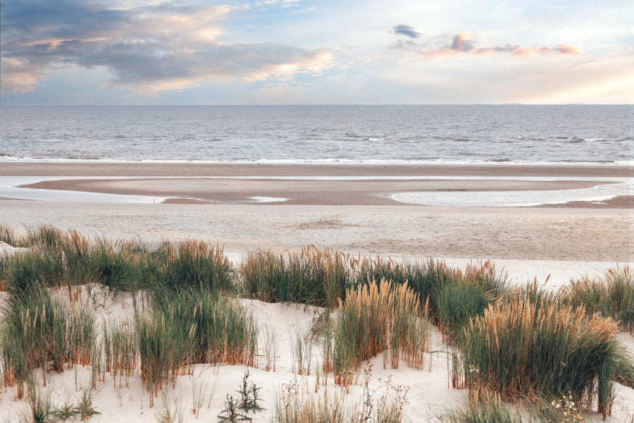 Dune Landscape on The North Sea Beach Wall Art Decor 100% Australian Made