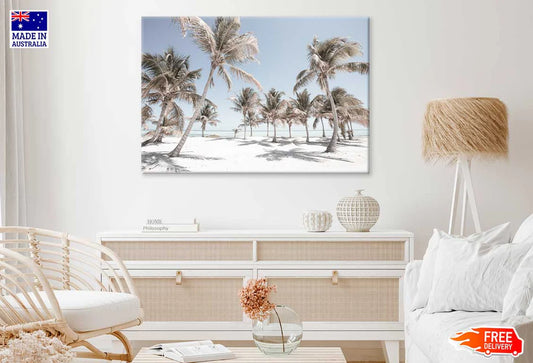 Palm Trees on Sandy Seashore View Photograph 90x60cm Print 100% Australian Made