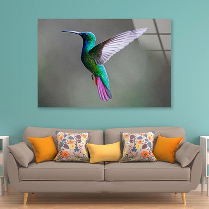 Green-Breasted Mango Female  Acrylic Glass Print Tempered Glass Wall Art 100% Made in Australia Ready to Hang