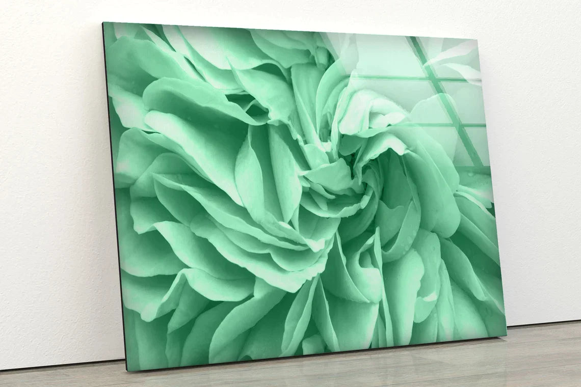 Green Flower Closeup UV Direct Aluminum Print Australian Made Quality