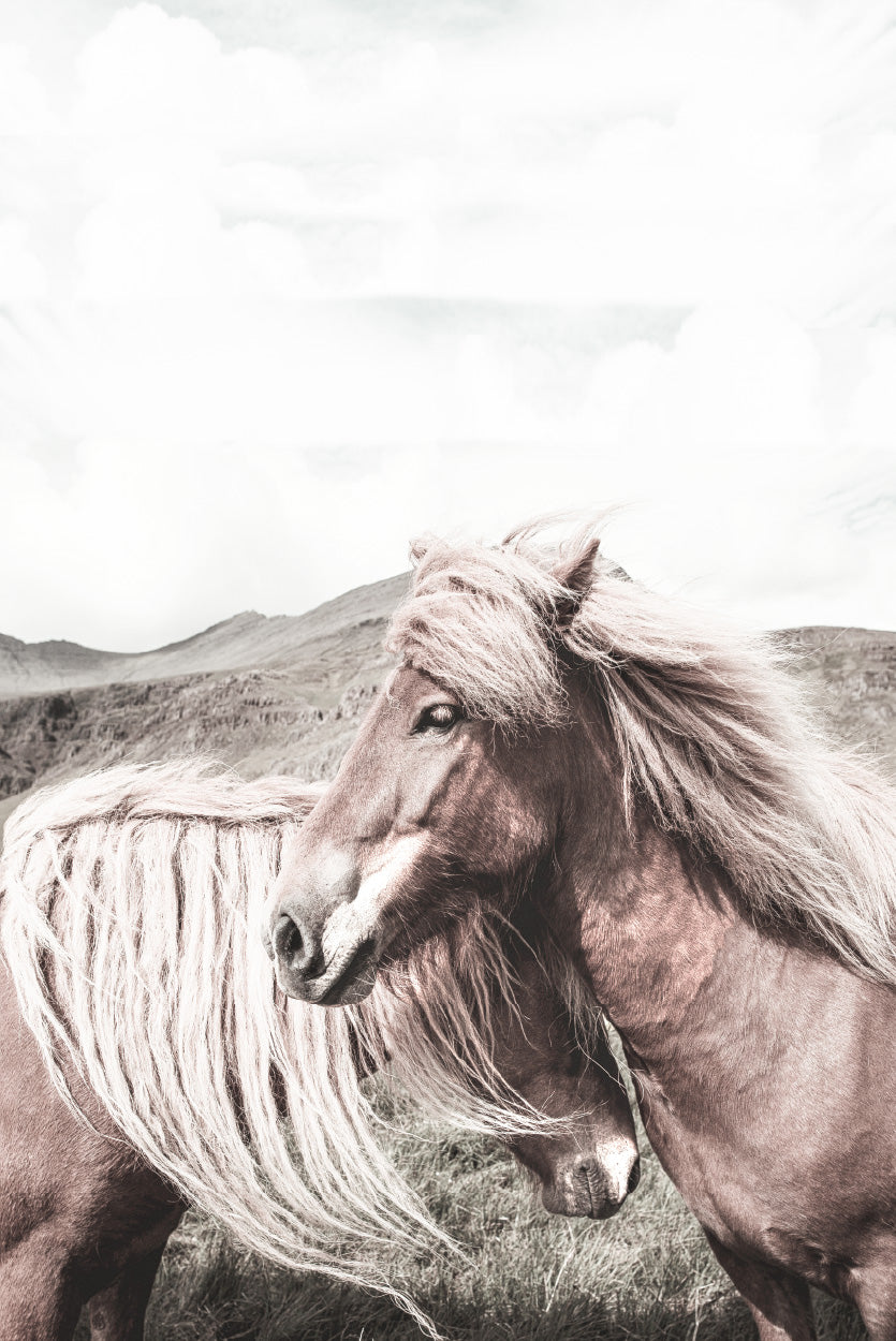 Faded Horse Closeup Side View Photograph Glass Framed Wall Art, Ready to Hang Quality Print