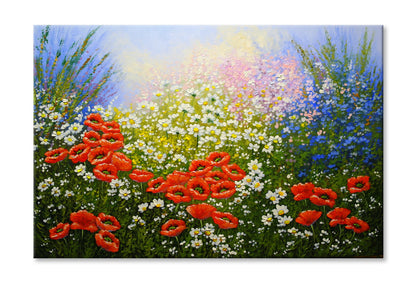 White Flowers & Red Poppies Field Oil Painting Wall Art Limited Edition High Quality Print Stretched Canvas None