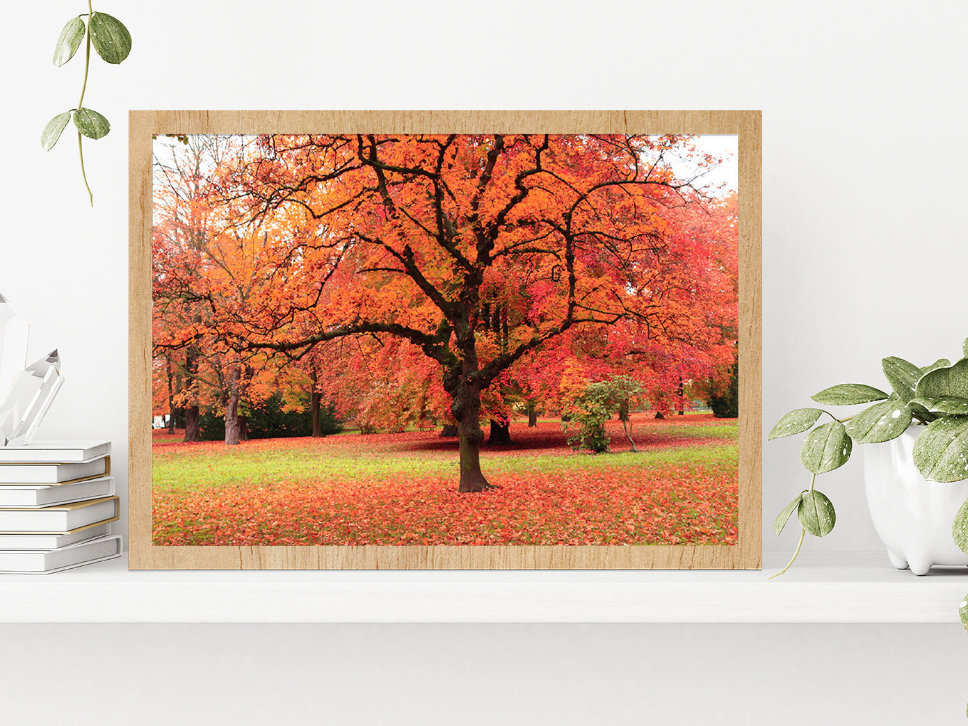 Autumn Tree In The Park Glass Framed Wall Art, Ready to Hang Quality Print Without White Border Oak