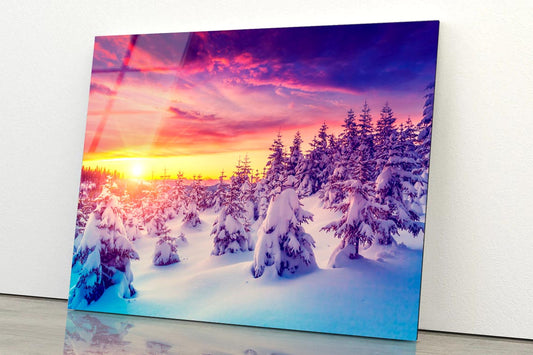 Winter Landscape with Spruce Trees  Acrylic Glass Print Tempered Glass Wall Art 100% Made in Australia Ready to Hang