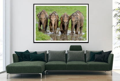 A Group of Elephants Peacefully Grazing Home Decor Premium Quality Poster Print Choose Your Sizes